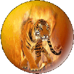 FireTiger.net Logo