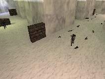 fy_iceworld
